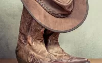 Bottes de cowboy