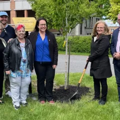 Inauguration de l'arbre