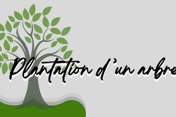 Plantation d'un arbre